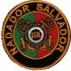 Emblema Nadador Salvador