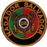 Emblema Nadador Salvador