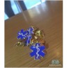 Pin Estrela da Vida